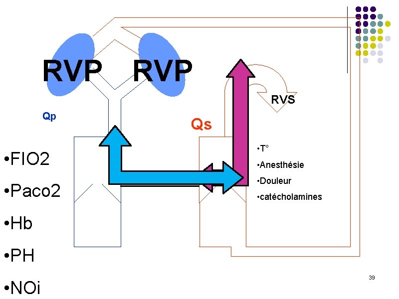 RVP RVS Qp • FIO 2 • Paco 2 Qs • T° • Anesthésie