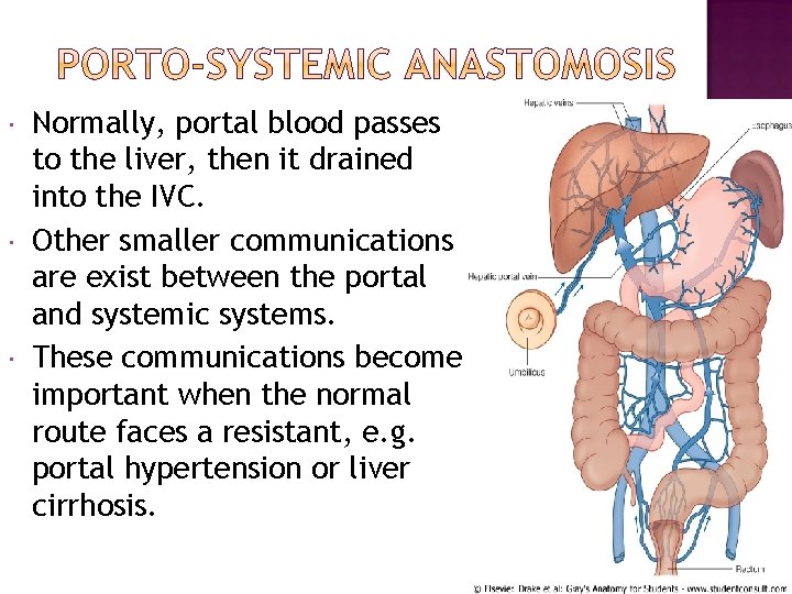  Normally, portal blood passes to the liver, then it drained into the IVC.