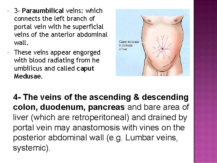  3 - Paraumbilical veins: which connects the left branch of portal vein with