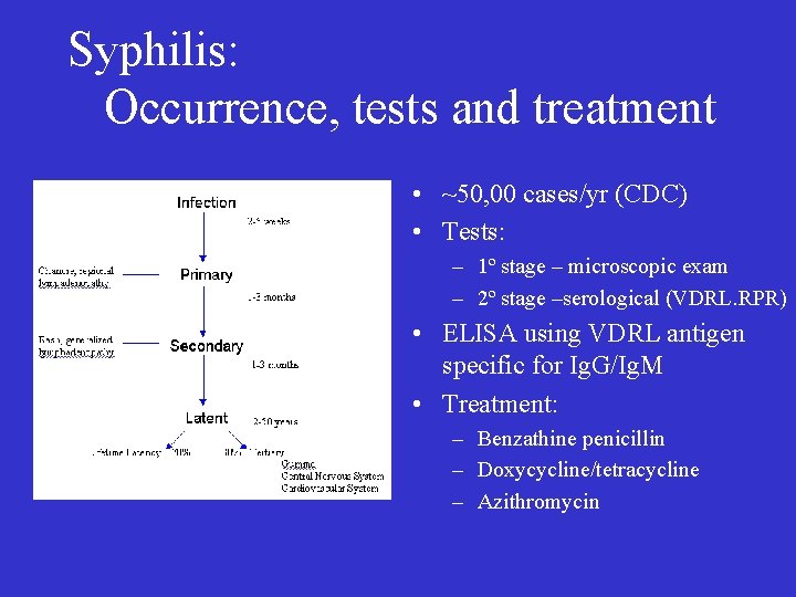 Syphilis: Occurrence, tests and treatment • ~50, 00 cases/yr (CDC) • Tests: – 1º