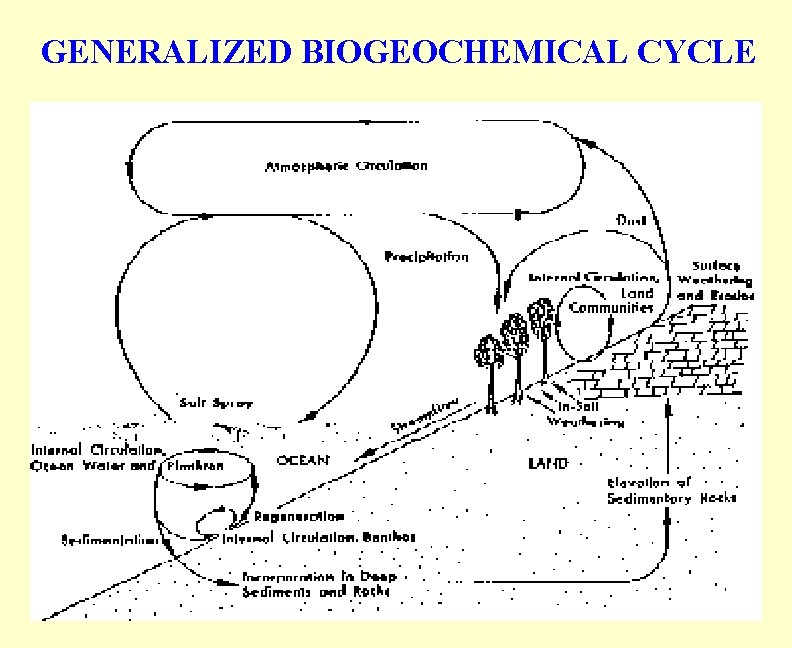 GENERALIZED BIOGEOCHEMICAL CYCLE 