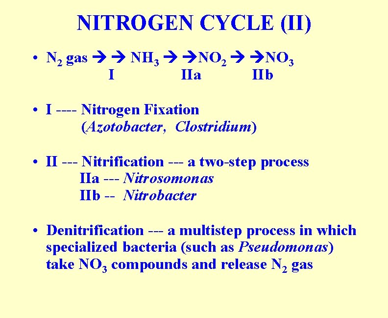 NITROGEN CYCLE (II) • N 2 gas NH 3 NO 2 NO 3 I