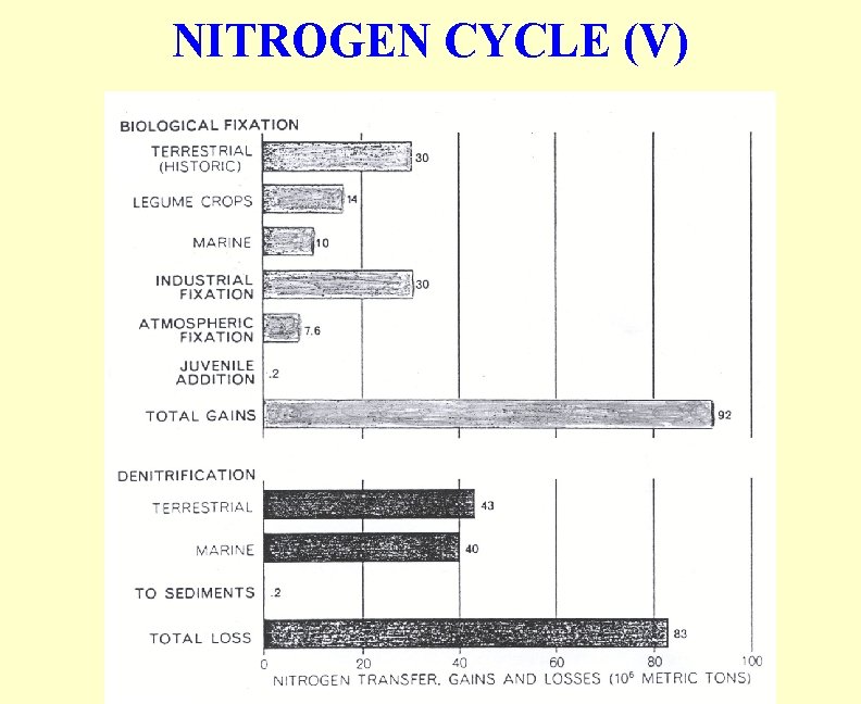 NITROGEN CYCLE (V) 