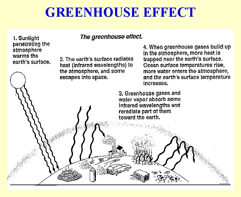 GREENHOUSE EFFECT 