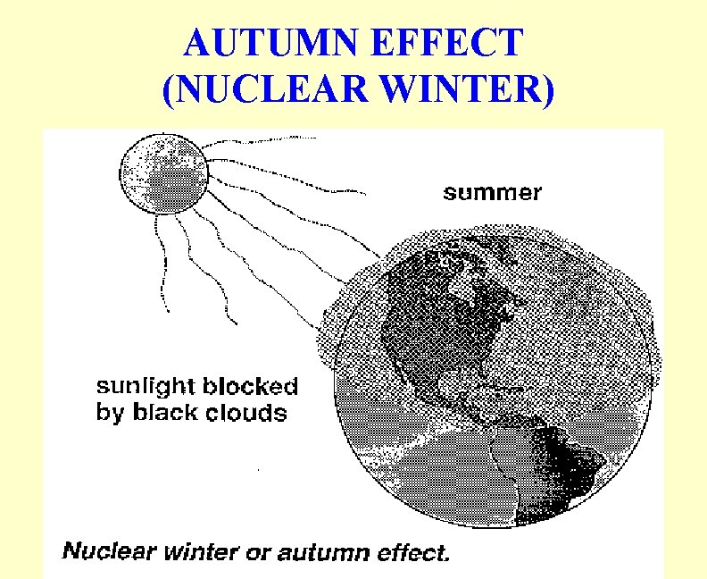 AUTUMN EFFECT (NUCLEAR WINTER) 