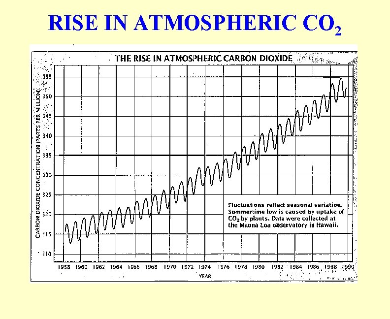 RISE IN ATMOSPHERIC CO 2 