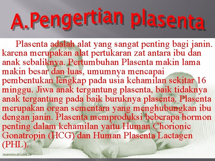 Plasenta adalah alat yang sangat penting bagi janin. karena merupakan alat pertukaran zat antara