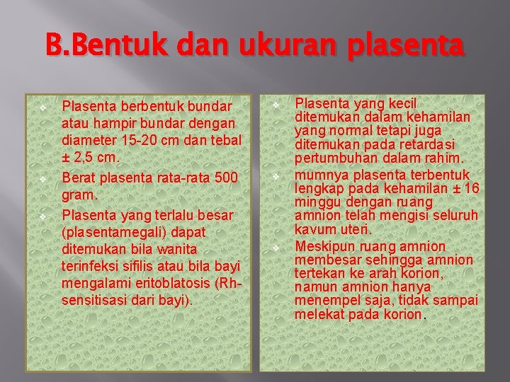 B. Bentuk dan ukuran plasenta v v v Plasenta berbentuk bundar atau hampir bundar