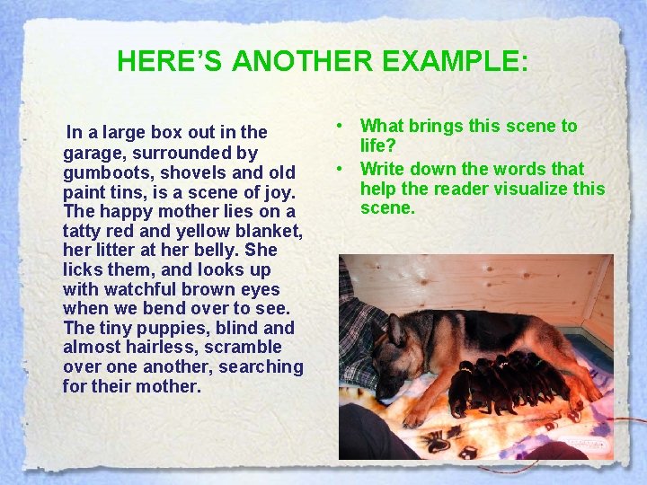 HERE’S ANOTHER EXAMPLE: In a large box out in the garage, surrounded by gumboots, HERE’S ANOTHER EXAMPLE: In a large box out in the garage, surrounded by gumboots,
