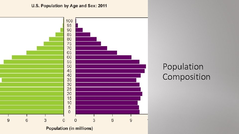 Population Composition 