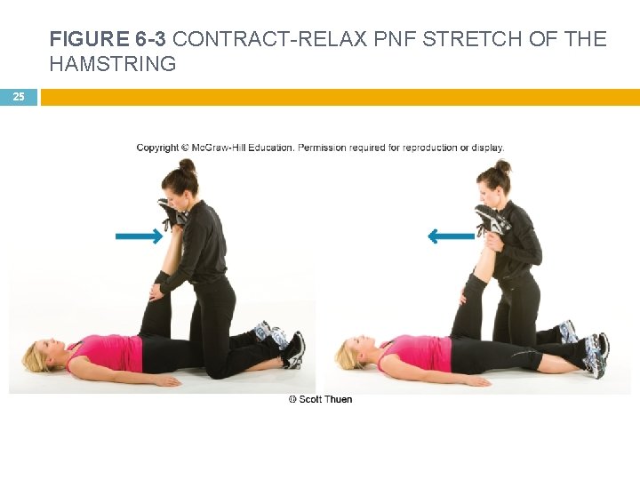 FIGURE 6 -3 CONTRACT-RELAX PNF STRETCH OF THE HAMSTRING 25 