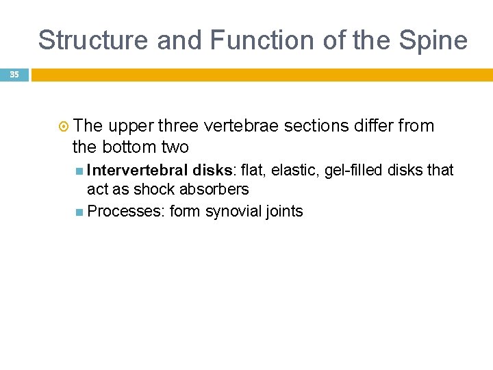 Structure and Function of the Spine 35 The upper three vertebrae sections differ from