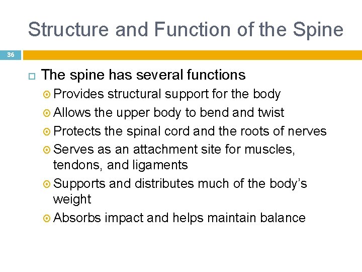 Structure and Function of the Spine 36 The spine has several functions Provides structural