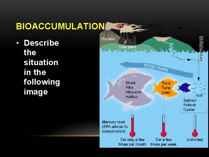 BIOACCUMULATION - 40 • Describe the situation in the following image 