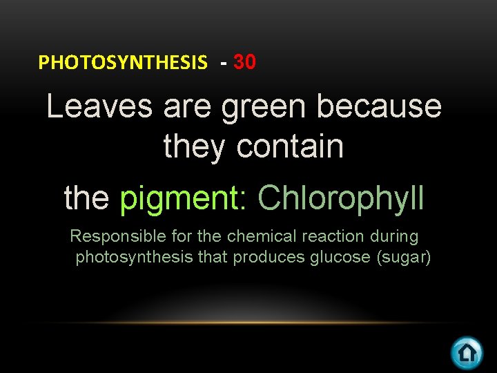 PHOTOSYNTHESIS - 30 Leaves are green because they contain the pigment: Chlorophyll Responsible for