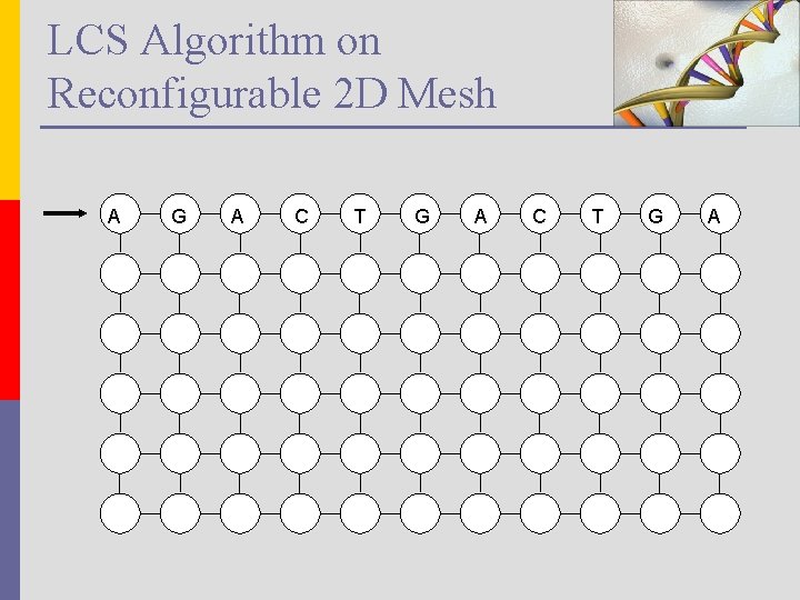 LCS Algorithm on Reconfigurable 2 D Mesh A G A C T G A