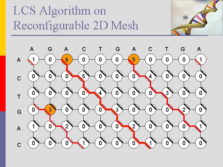 LCS Algorithm on Reconfigurable 2 D Mesh A G A C T G A