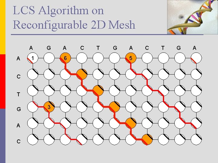 LCS Algorithm on Reconfigurable 2 D Mesh A A G 1 6 C T