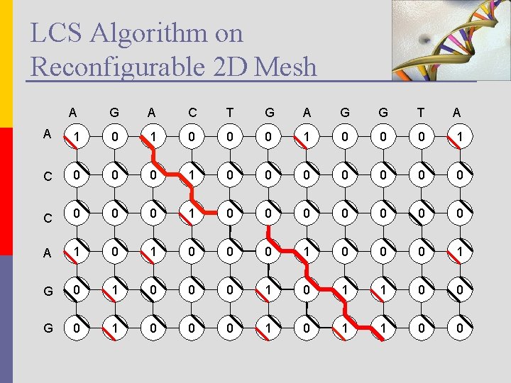 LCS Algorithm on Reconfigurable 2 D Mesh A G A C T G A