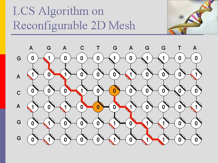 LCS Algorithm on Reconfigurable 2 D Mesh A G A C T G A