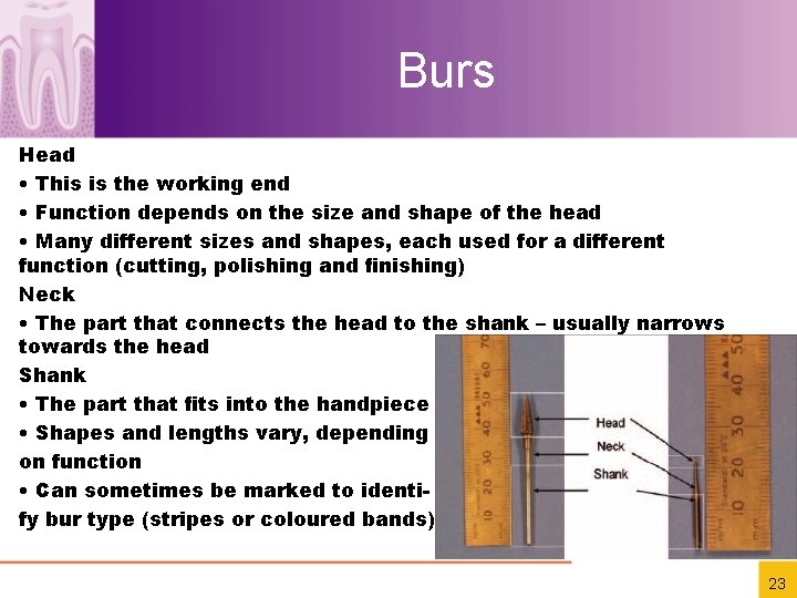 Burs Head • This is the working end • Function depends on the size