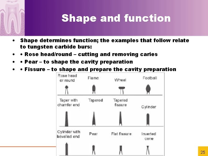 Shape and function • Shape determines function; the examples that follow relate to tungsten