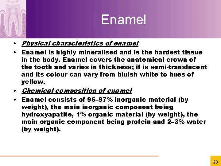 Enamel • Physical characteristics of enamel • Enamel is highly mineralised and is the