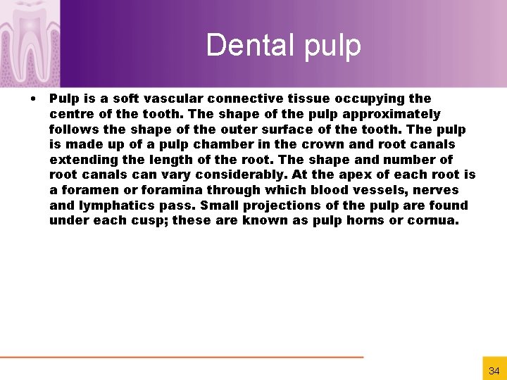 Dental pulp • Pulp is a soft vascular connective tissue occupying the centre of