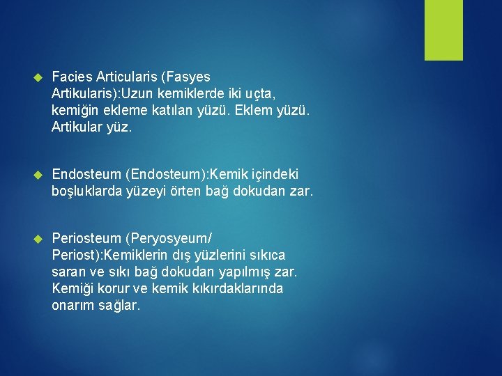  Facies Articularis (Fasyes Artikularis): Uzun kemiklerde iki uçta, kemiğin ekleme katılan yüzü. Eklem