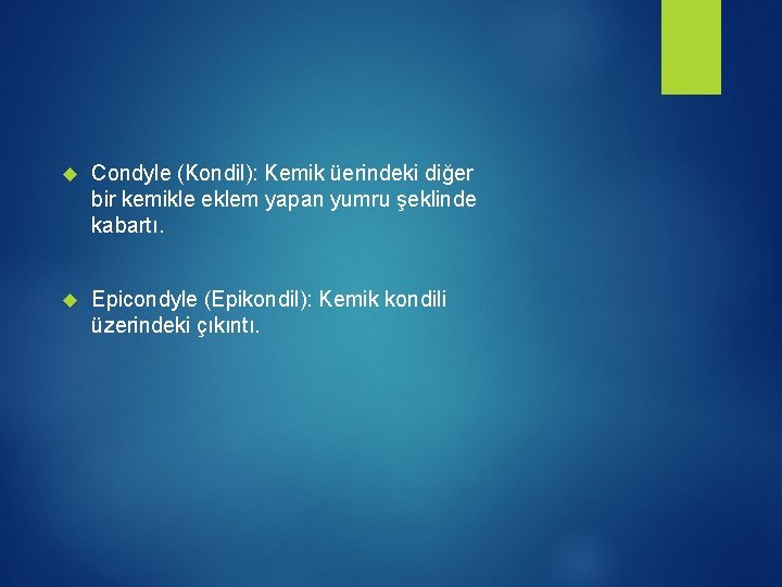  Condyle (Kondil): Kemik üerindeki diğer bir kemikle eklem yapan yumru şeklinde kabartı. Epicondyle