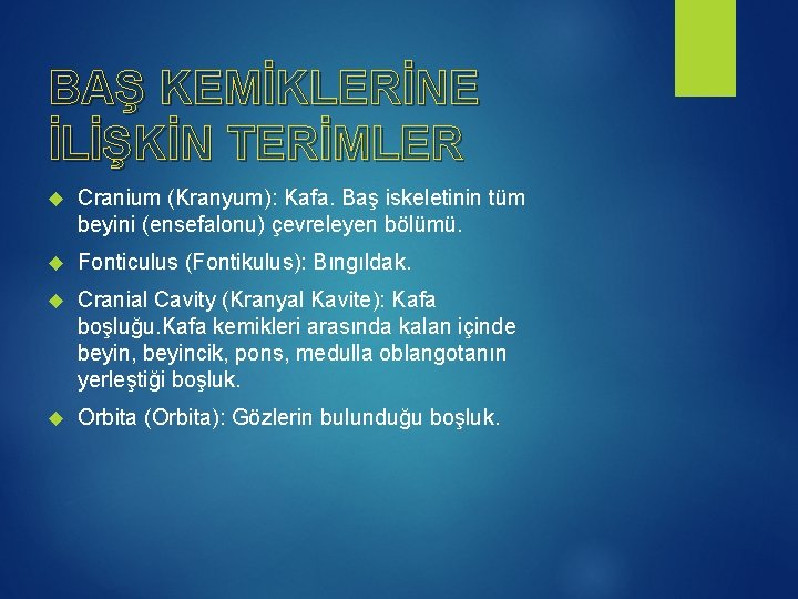 BAŞ KEMİKLERİNE İLİŞKİN TERİMLER Cranium (Kranyum): Kafa. Baş iskeletinin tüm beyini (ensefalonu) çevreleyen bölümü.