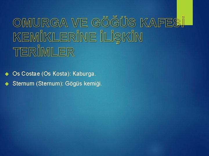OMURGA VE GÖĞÜS KAFESİ KEMİKLERİNE İLİŞKİN TERİMLER Os Costae (Os Kosta): Kaburga. Sternum (Sternum):