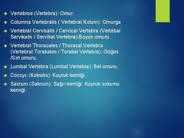  Vertebrae (Vertebra): Omur. Columna Vertebralis ( Vertebral Kolum): Omurga Vertebral Cervicalis / Cervical