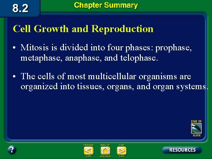 Cell Growth and Reproduction • Mitosis is divided into four phases: prophase, metaphase, and