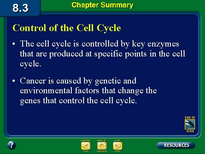 Control of the Cell Cycle • The cell cycle is controlled by key enzymes