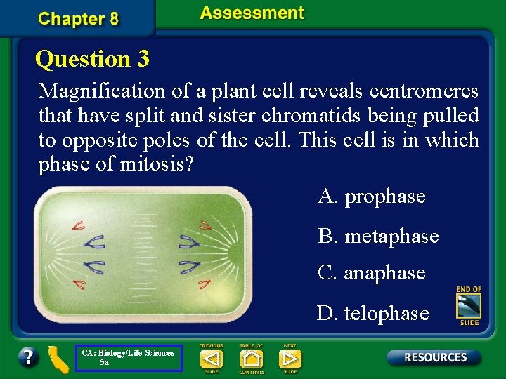 Question 3 Magnification of a plant cell reveals centromeres that have split and sister