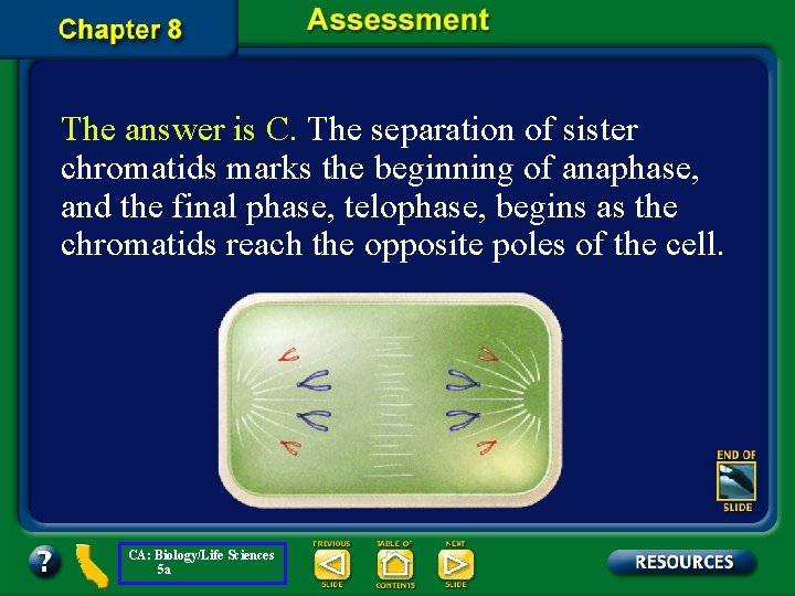 The answer is C. The separation of sister chromatids marks the beginning of anaphase,