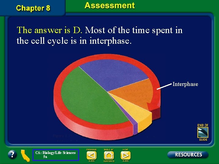 The answer is D. Most of the time spent in the cell cycle is