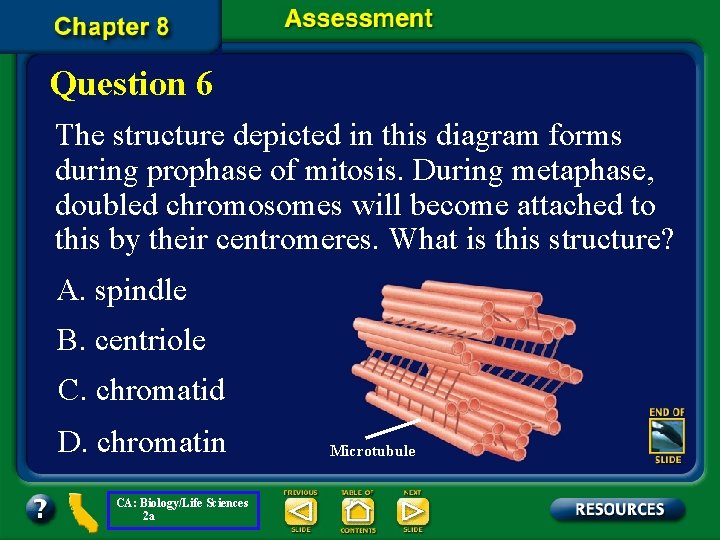 Question 6 The structure depicted in this diagram forms during prophase of mitosis. During