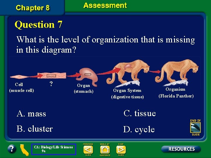 Question 7 What is the level of organization that is missing in this diagram?