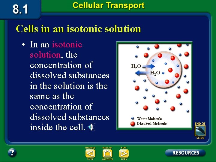 Cells in an isotonic solution • In an isotonic solution, the concentration of dissolved