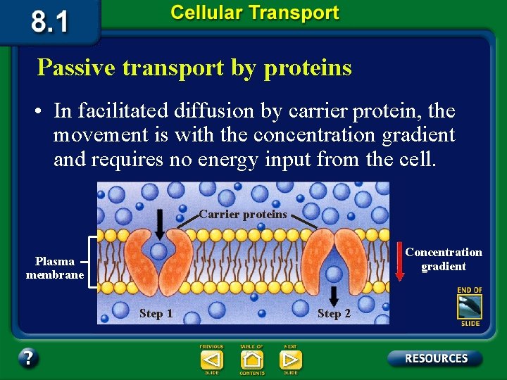 Passive transport by proteins • In facilitated diffusion by carrier protein, the movement is