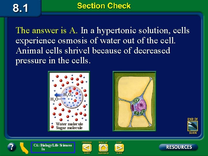 The answer is A. In a hypertonic solution, cells experience osmosis of water out