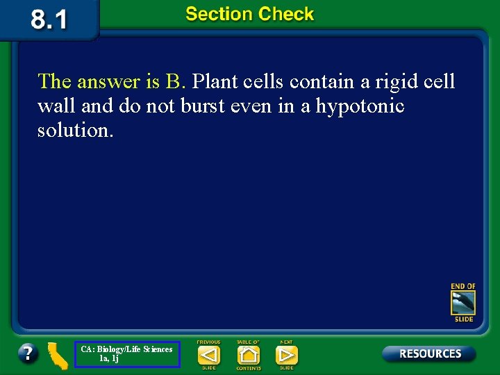 The answer is B. Plant cells contain a rigid cell wall and do not