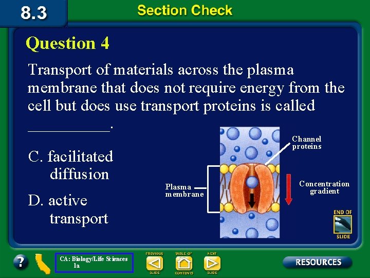 Question 4 Transport of materials across the plasma membrane that does not require energy