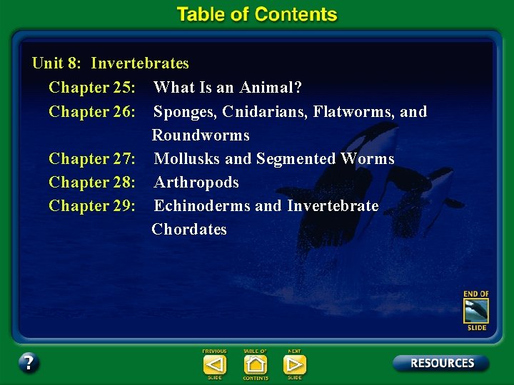 Unit 8: Invertebrates Chapter 25: What Is an Animal? Chapter 26: Sponges, Cnidarians, Flatworms,