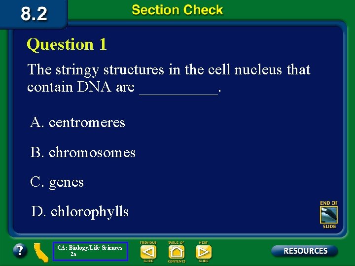 Question 1 The stringy structures in the cell nucleus that contain DNA are _____.