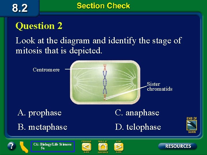 Question 2 Look at the diagram and identify the stage of mitosis that is