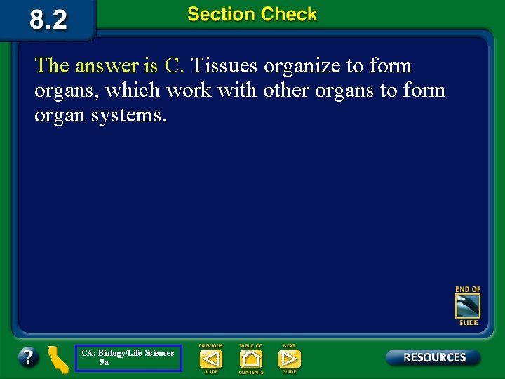 The answer is C. Tissues organize to form organs, which work with other organs