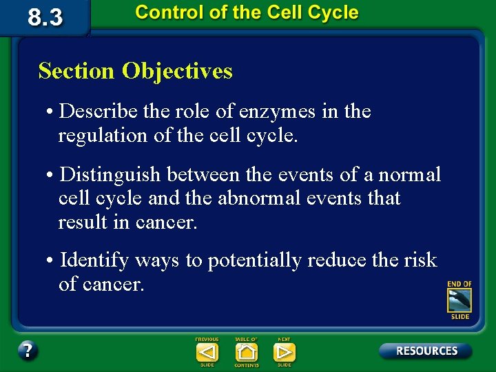 Section Objectives • Describe the role of enzymes in the regulation of the cell